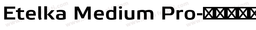Etelka Medium Pro字体转换
